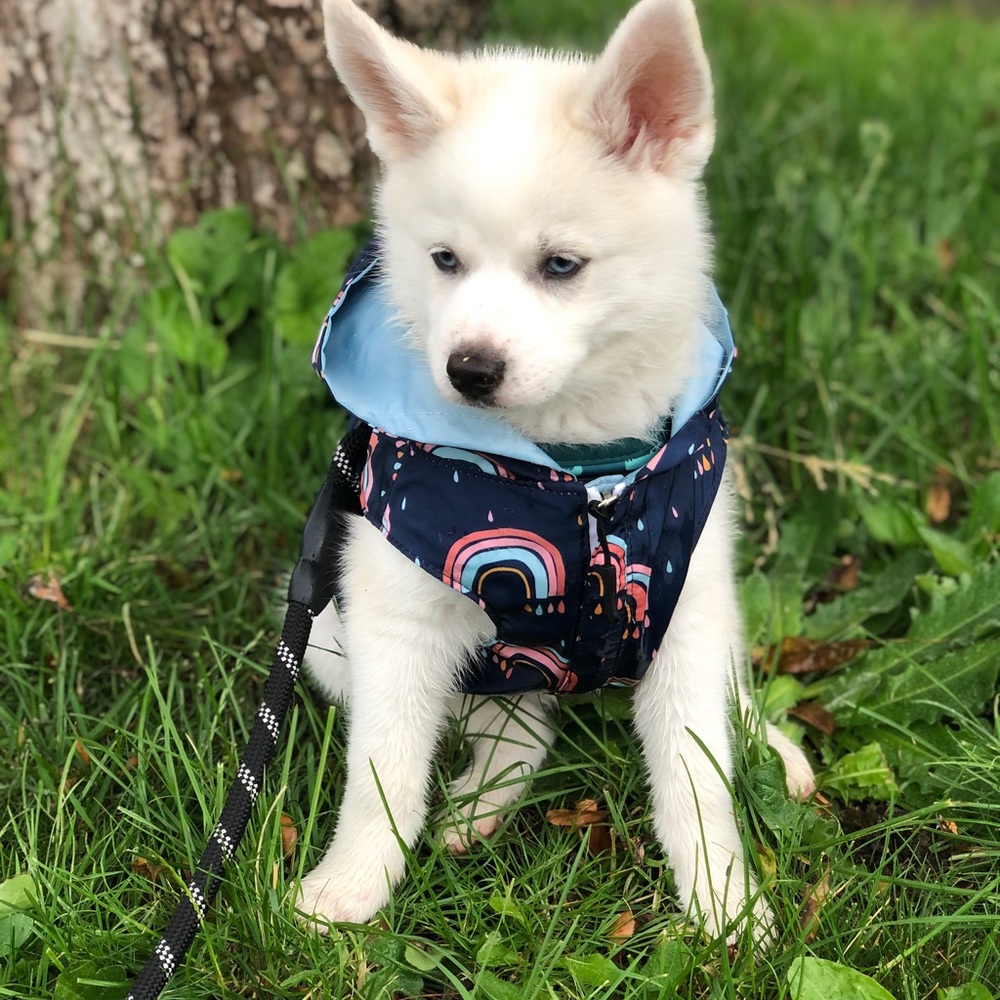 Lucy & Co Raincoat
